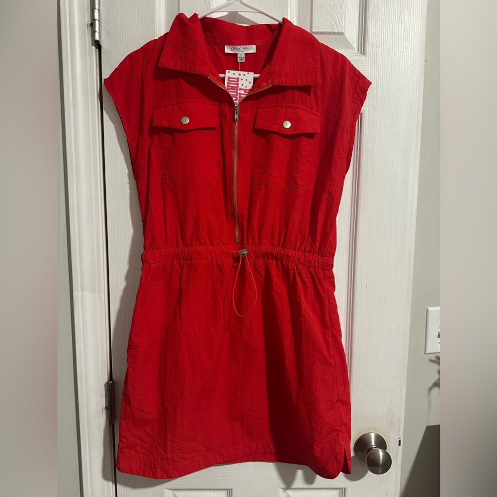 Large Pink Dinosaur Dress